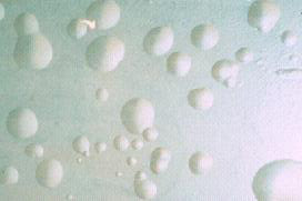 208_45974.jpg